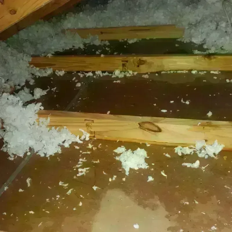 Attic Water Damage in Palos Verdes Estates, CA